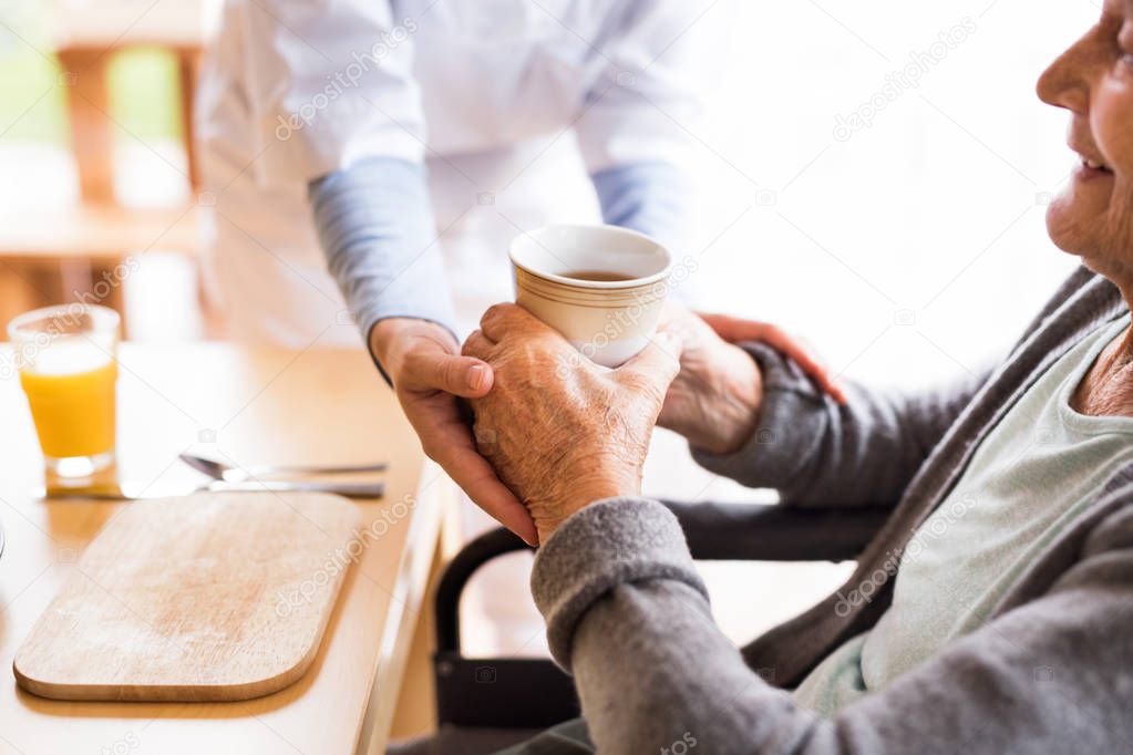 Unrecognizable health visitor and a senior woman during home vis