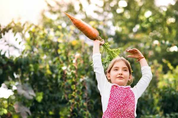 Liten tjej som Trädgårdsskötsel i bakgård trädgård, äta hallon. — Stockfoto