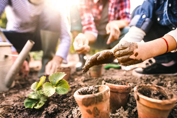 Senior pasangan dengan cucu berkebun di taman halaman belakang — Stok Foto