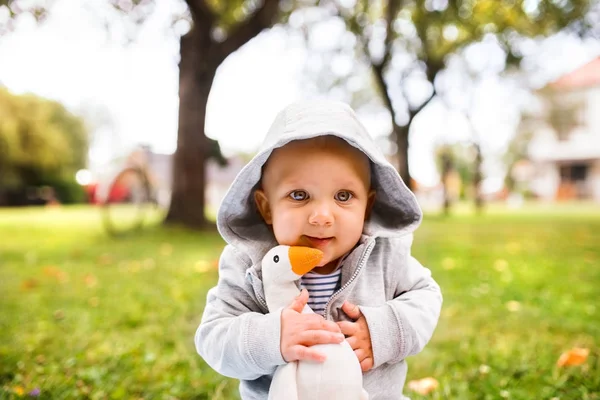 Pojke på gräset i trädgården. — Stockfoto