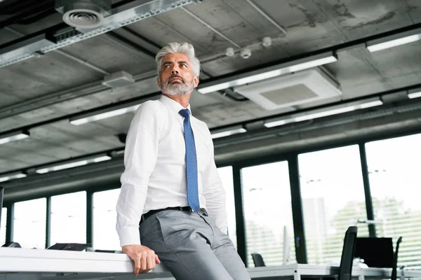 Uomo d'affari maturo con i capelli grigi in ufficio . — Foto Stock