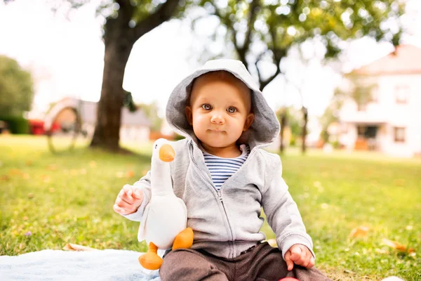 Pojke på gräset i trädgården. — Stockfoto