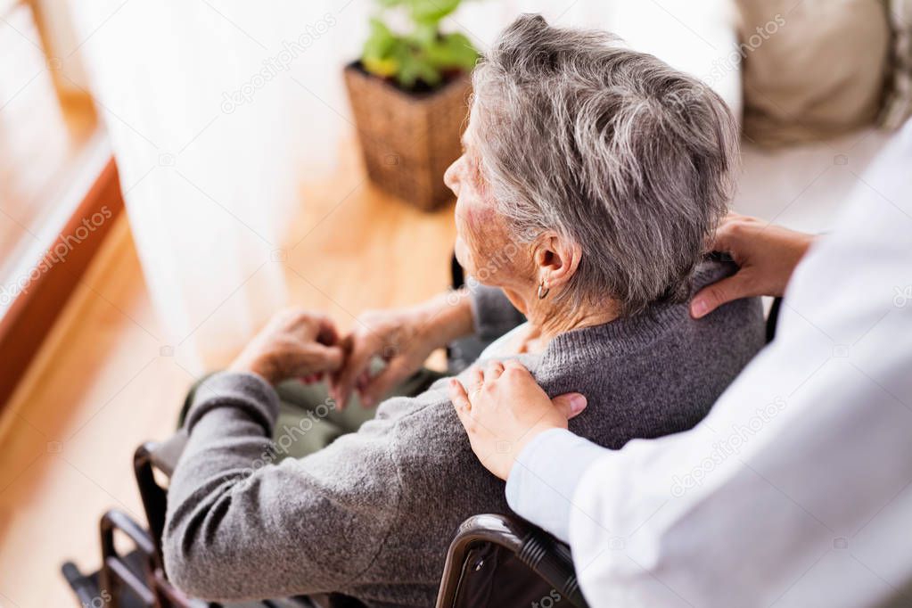 Health visitor and a senior woman during home visit.