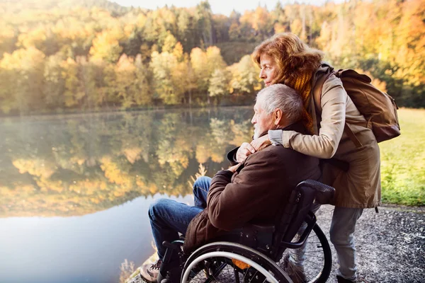 Senior para z wózkiem inwalidzkim w jesień natura. — Zdjęcie stockowe