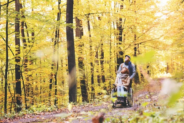 Sonbahar ormanda tekerlekli sandalye ile üst düzey Çift. — Stok fotoğraf