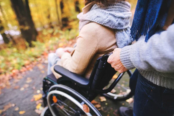 Pareja mayor con silla de ruedas en bosque de otoño . — Foto de Stock