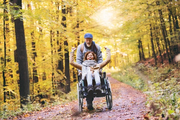 Senior para z wózkiem inwalidzkim w lesie jesienią. — Zdjęcie stockowe