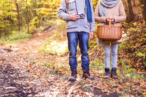 Casal sênior em um passeio na floresta de outono . — Fotografia de Stock
