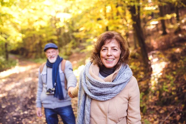 Äldre par på en promenad i höst skog. — Stockfoto