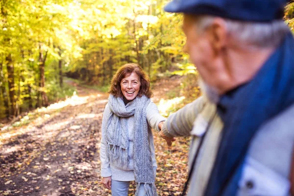 Seniorenpaar spaziert im Herbstwald. — Stockfoto