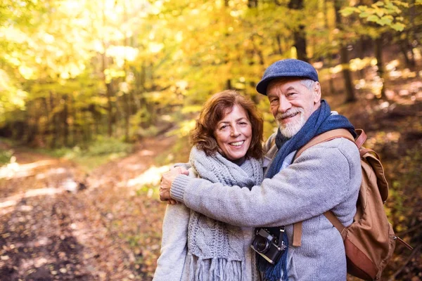 Couple sénior en promenade dans la forêt d'automne . — Photo