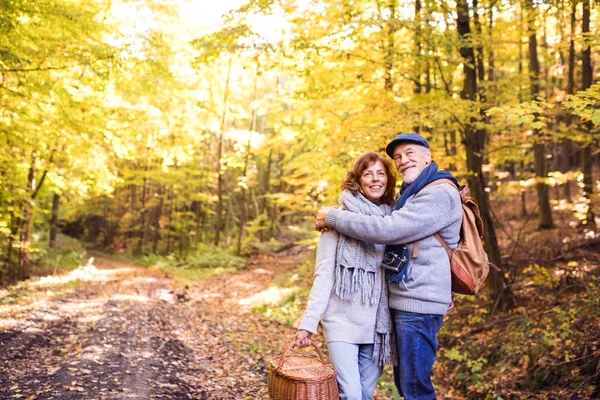 Couple sénior en promenade dans la forêt d'automne . — Photo