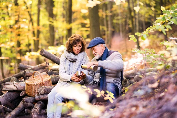 Pareja mayor en un paseo en el bosque de otoño . — Foto de Stock