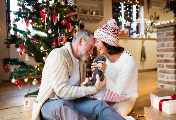 Couple aîné devant l'arbre de Noël profitant de cadeaux . — Photo