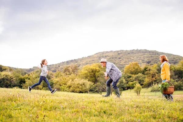 Äldre par med grandaughter i naturen. — Stockfoto