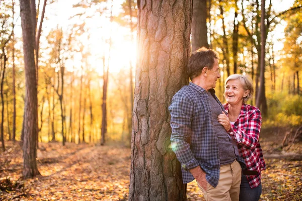 Senior couple on a walk in an autumn forest. — Stock Photo, Image