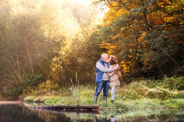 Äldre par på en promenad i höstens natur. — Stockfoto