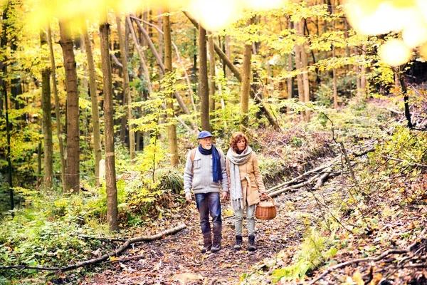 Äldre par på en promenad i höst skog. — Stockfoto