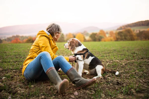 Mulher sênior com cão em um passeio em uma natureza de outono . — Fotografia de Stock
