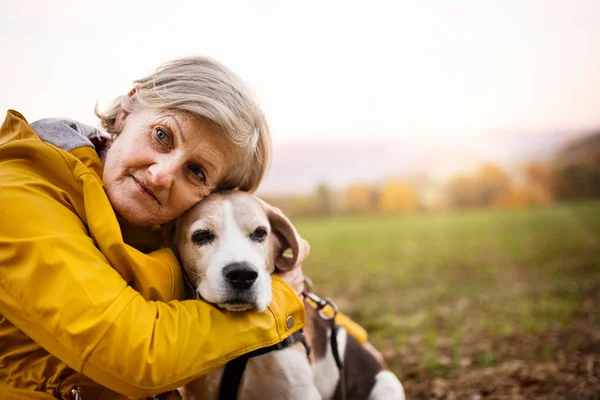Seniorin mit Hund spazieren in herbstlicher Natur. — Stockfoto