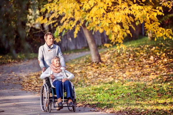Üst düzey erkek ve kadın sonbahar doğada tekerlekli sandalyede. — Stok fotoğraf