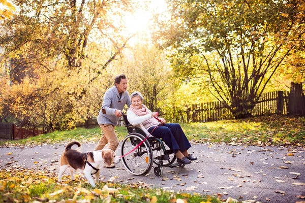 Hombre mayor, mujer en silla de ruedas y perro en otoño naturaleza . — Foto de Stock