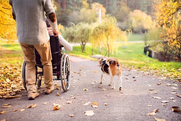 Homem sênior, mulher em cadeira de rodas e cão na natureza outono . — Fotografia de Stock