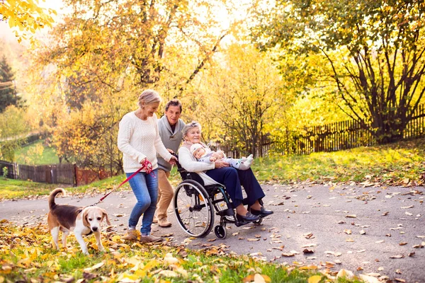 Uitgebreide familie met hond op een wandeling in de herfst natuur. — Stockfoto