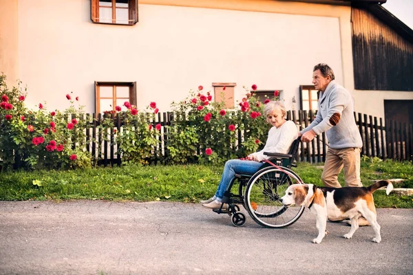 Seniorenpaar mit Rollstuhl auf Spaziergang mit Hund. — Stockfoto