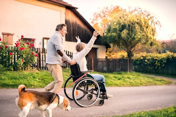 Couple aîné avec fauteuil roulant sur une promenade avec chien . — Photo