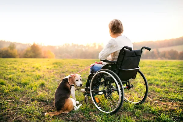 Senior kobieta na wózku inwalidzkim z psem w jesień natura. — Zdjęcie stockowe