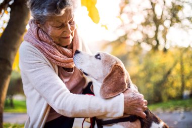 Yaşlı bir kadın ile köpek sonbahar doğa içinde.