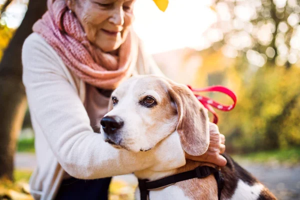 An elderly woman with dog in autumn nature. — Stock Photo, Image