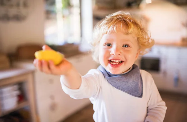 Toddler boy in the kitchen. — Stock Photo, Image