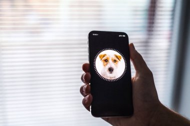 Nova Bana, Slovakya - 28 Kasım 2017: Yeni Apple iphone X smartphone, yüz kimliği.