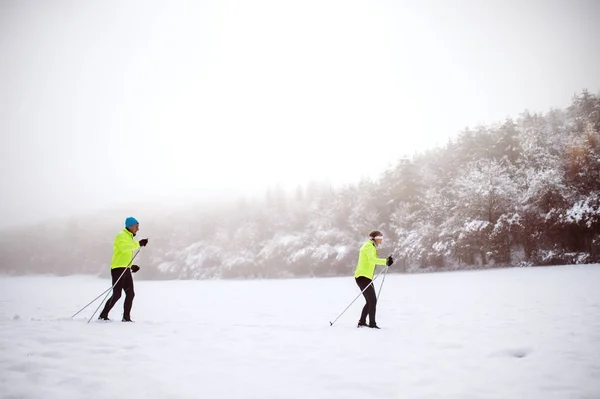 Vedoucí pár běh na lyžích. — Stock fotografie