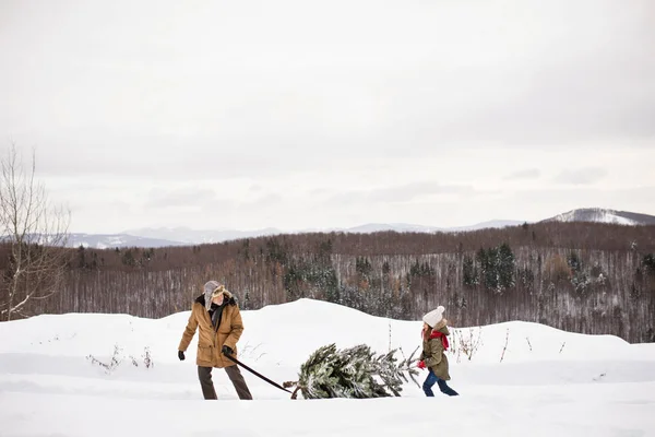 Grandfather and small girl getting a Christmas tree in forest. — Stock Photo, Image