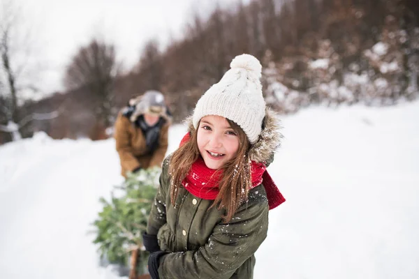 Abuelo y niña pequeña consiguiendo un árbol de Navidad en el bosque . —  Fotos de Stock