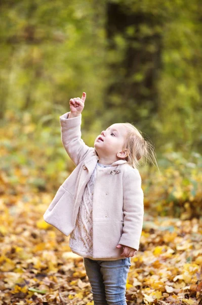 Menina bonito em casaco rosa na floresta de outono . — Fotografia de Stock