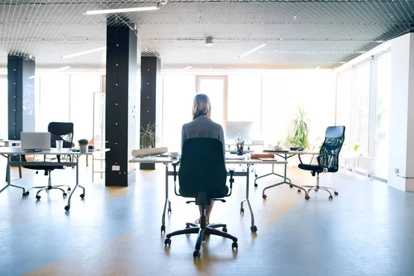 Empresaria en su oficina trabajando. Vista trasera . — Foto de Stock