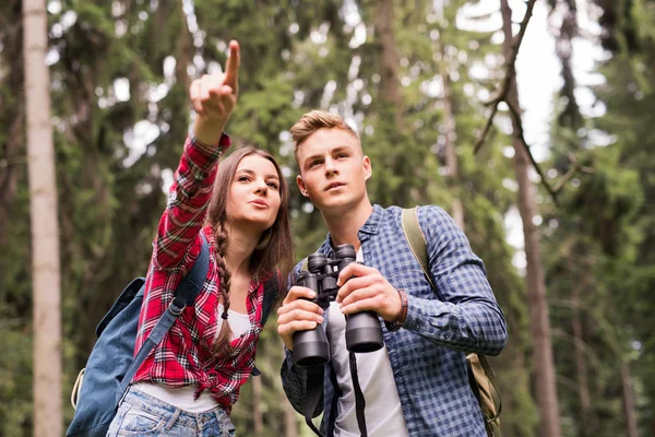 Genç çift ormanda hiking. Yaz tatili. — Stok fotoğraf