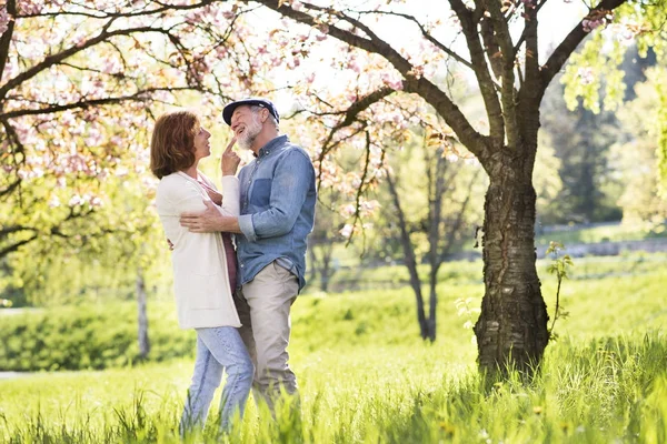 Vackra äldre par i kärlek utanför i vår natur. — Stockfoto