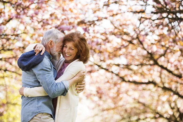 Beautiful senior couple in love outside in spring nature. — Stock Photo, Image