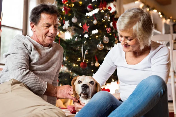 Casal sênior com cão na frente da árvore de Natal — Fotografia de Stock