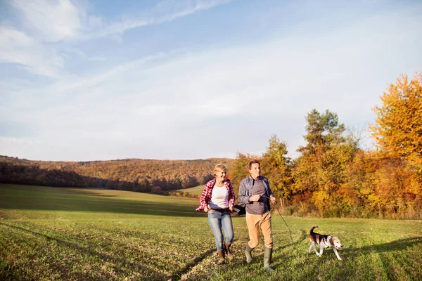 Seniorenpaar mit Hund spazieren in herbstlicher Natur. — Stockfoto