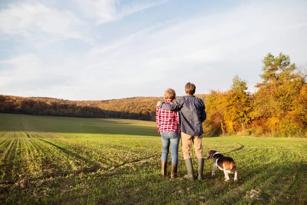 Senior echtpaar met hond op een wandeling in een herfst natuur. — Stockfoto