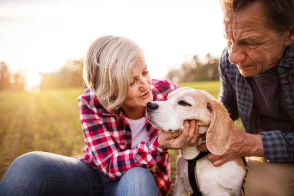 Coppia anziana con cane a passeggio in una natura autunnale . — Foto Stock