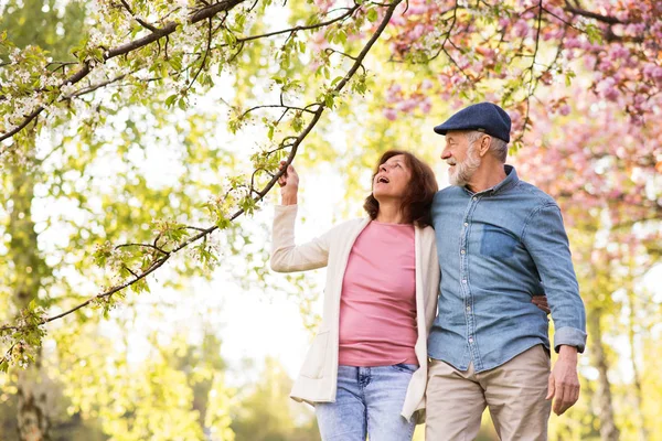 Schönes Seniorenpaar verliebt draußen in der Frühlingsnatur. — Stockfoto