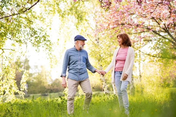 Beautiful senior couple in love outside in spring nature. — Stock Photo, Image