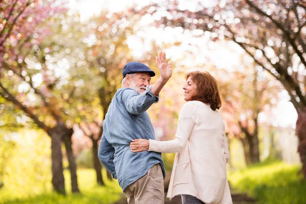 Beautiful senior couple in love outside in spring nature. — Stock Photo, Image